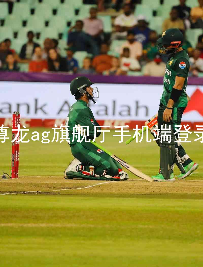 尊龙ag旗舰厅手机端登录