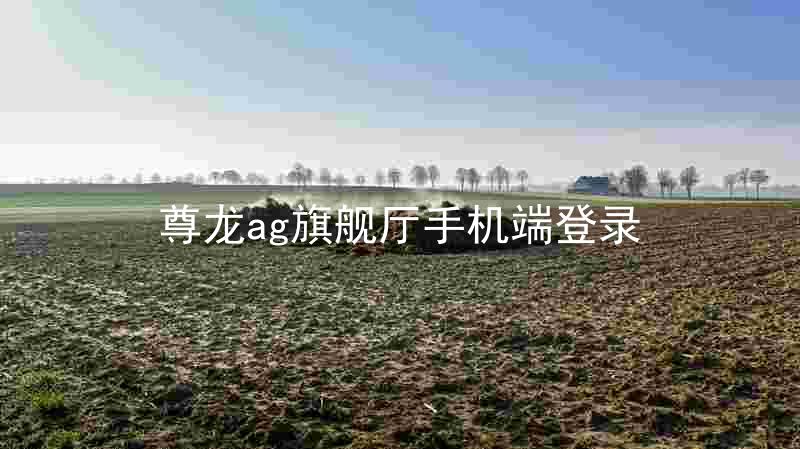 尊龙ag旗舰厅手机端登录